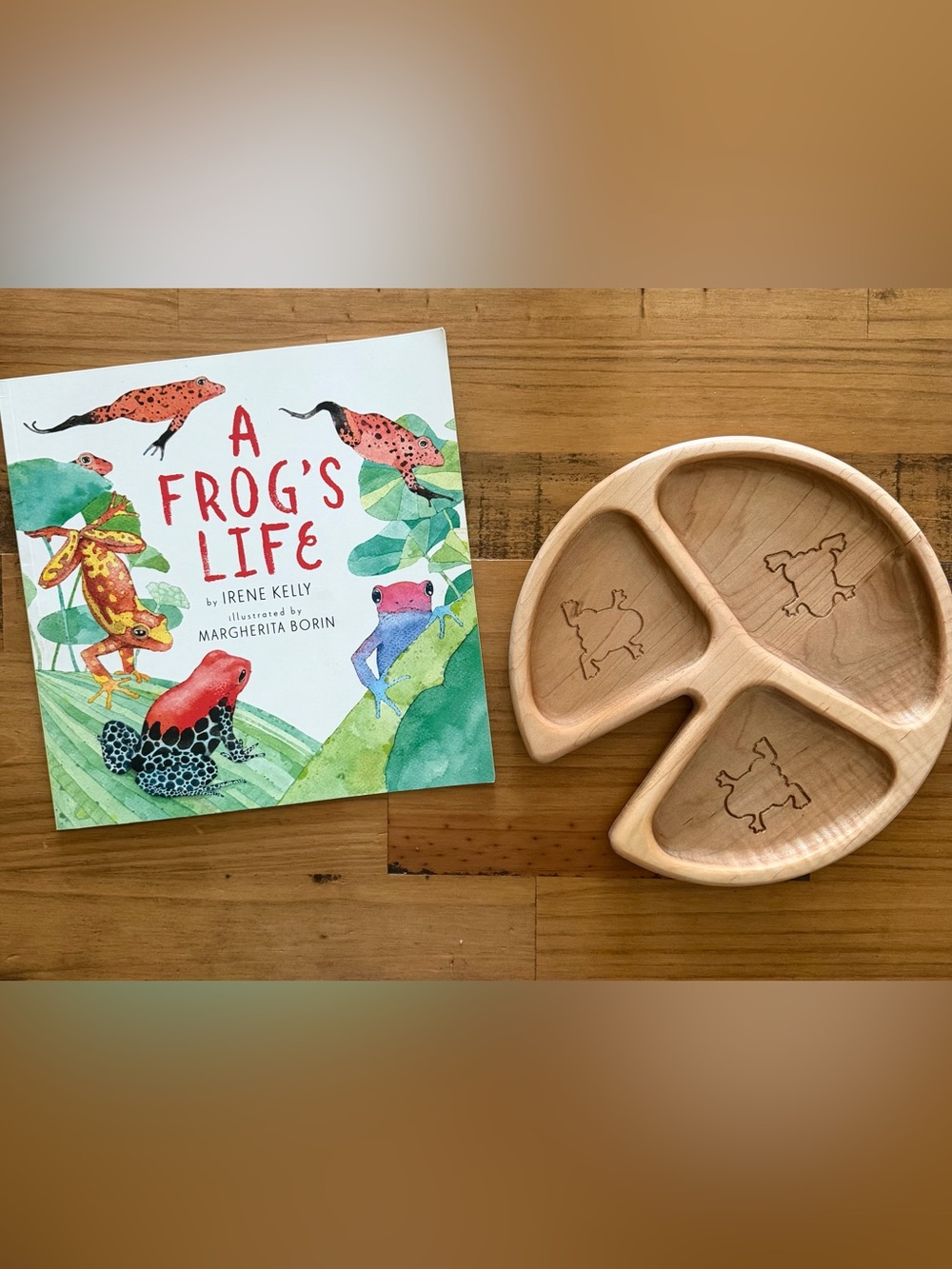 Children's Picture Book "A Frog's Life" with Wooden lily pad open-ended tray